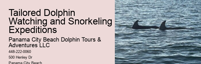 Personal Dolphin Safari and Snorkeling Adventures