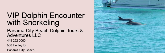 Dolphin & Snorkeling Tours Panama City Beach