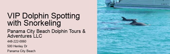Secluded Dolphin Spotting with Snorkeling
