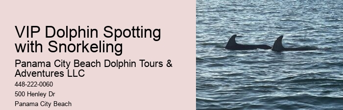 Why Shouldn't You Touch Dolphins