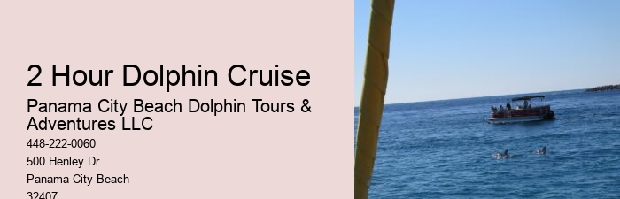 Dolphin Tours Tampa Bay