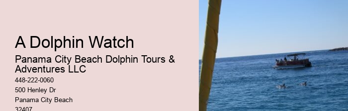 Can I swim with dolphins on a tour in Panama City Beach