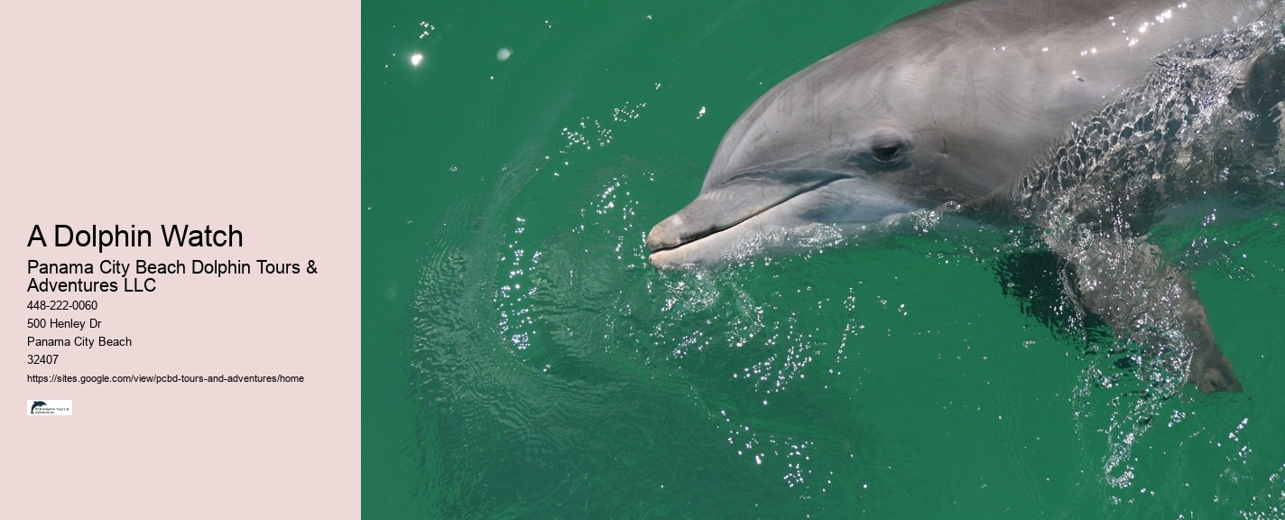 Dolphin-safe Ways To Protect Yourself From The Sun