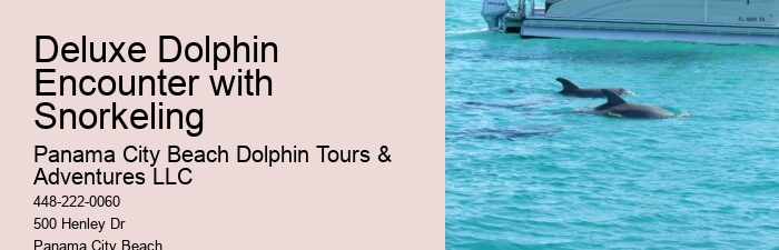 Split Wildlife Tours Featuring Dolphin Encounters And Snorkeling