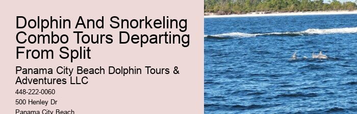 Blue Dolphin Snorkeling Tours