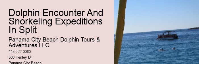 Panama City Beach eco-tours with dolphins
