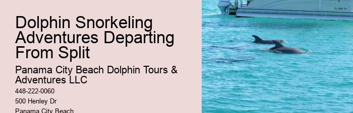 Best Sunset Dolphin Cruise Panama City Beach