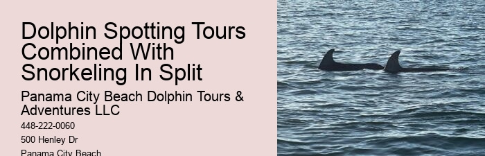 Panama City Beach dolphin discovery tours