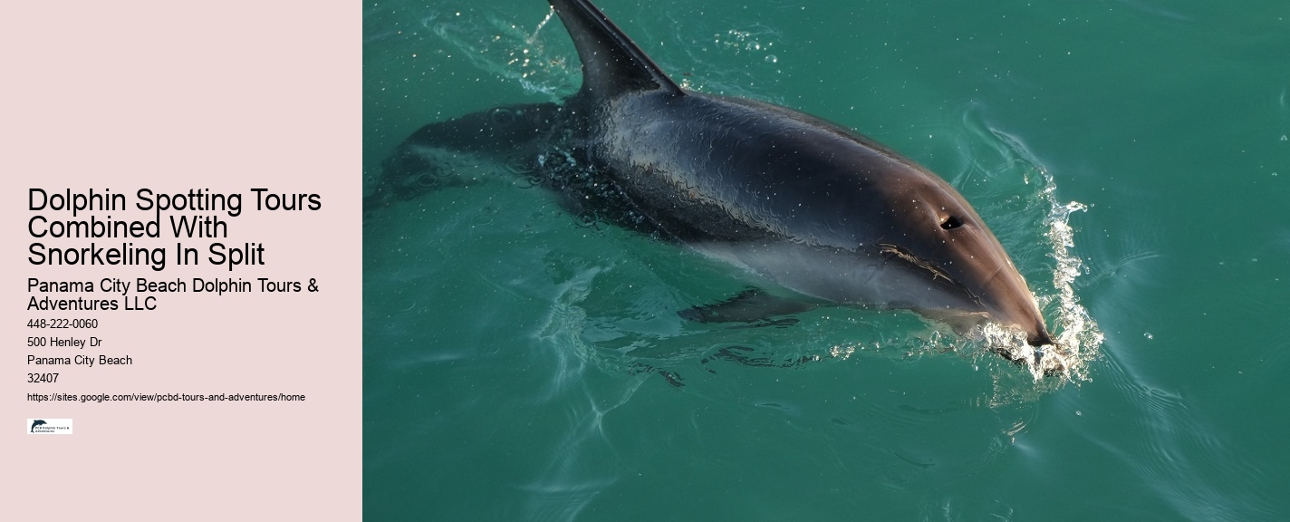 Panama City Fl Boat Tours