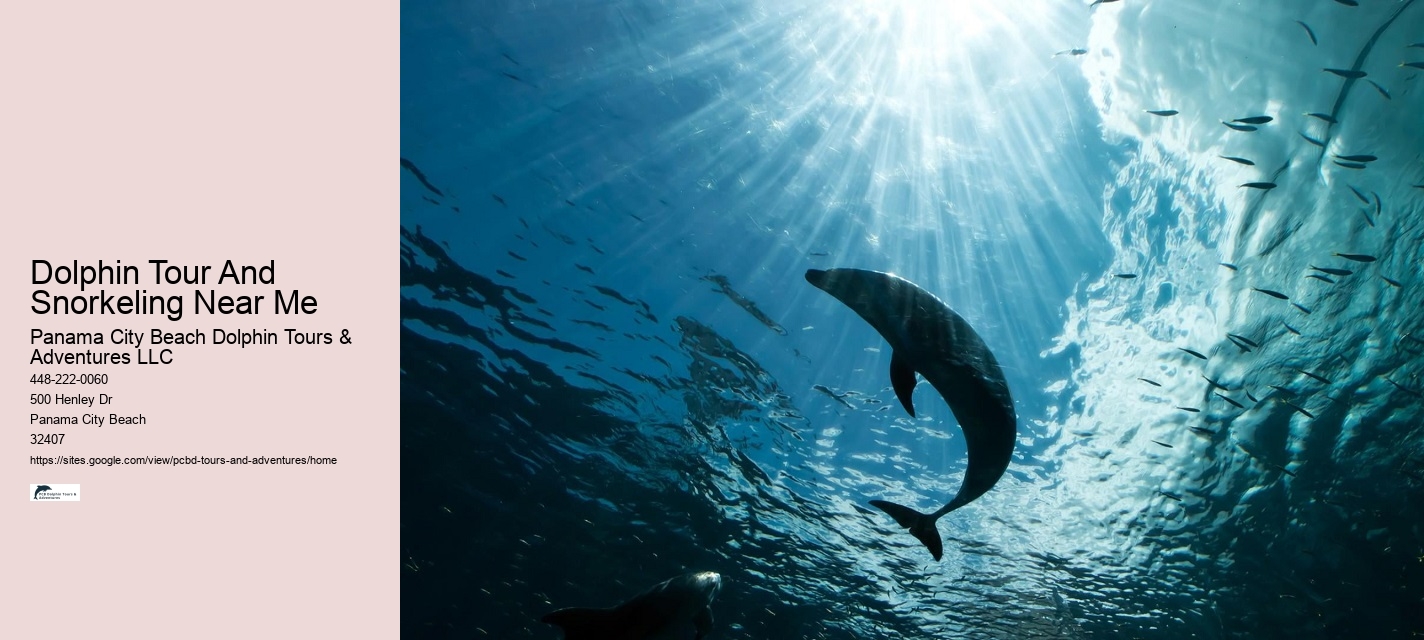 Split Charter Dolphin And Snorkeling