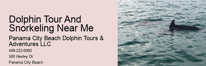 Swimming With Captive Dolphins