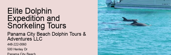 Dolphin sightseeing adventures in Panama City Beach