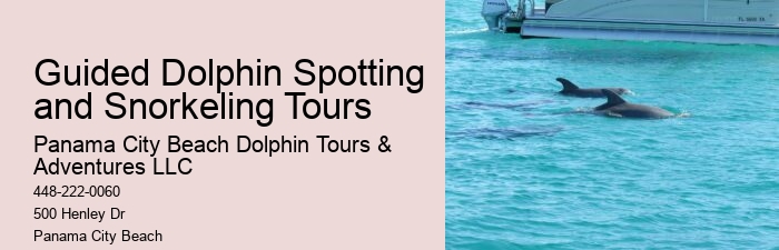 How Much Does It Cost To Swim With Dolphins In Florida