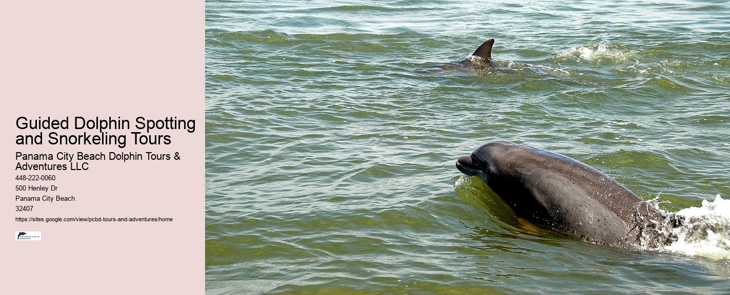 Is There A Weight Limit For Swimming With Dolphins