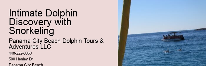 Dolphin Tours And Shell Island Panama City Beach