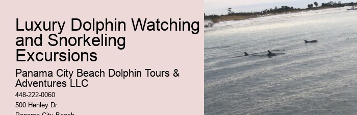 Blue Dolphin Tours Panama City Beach