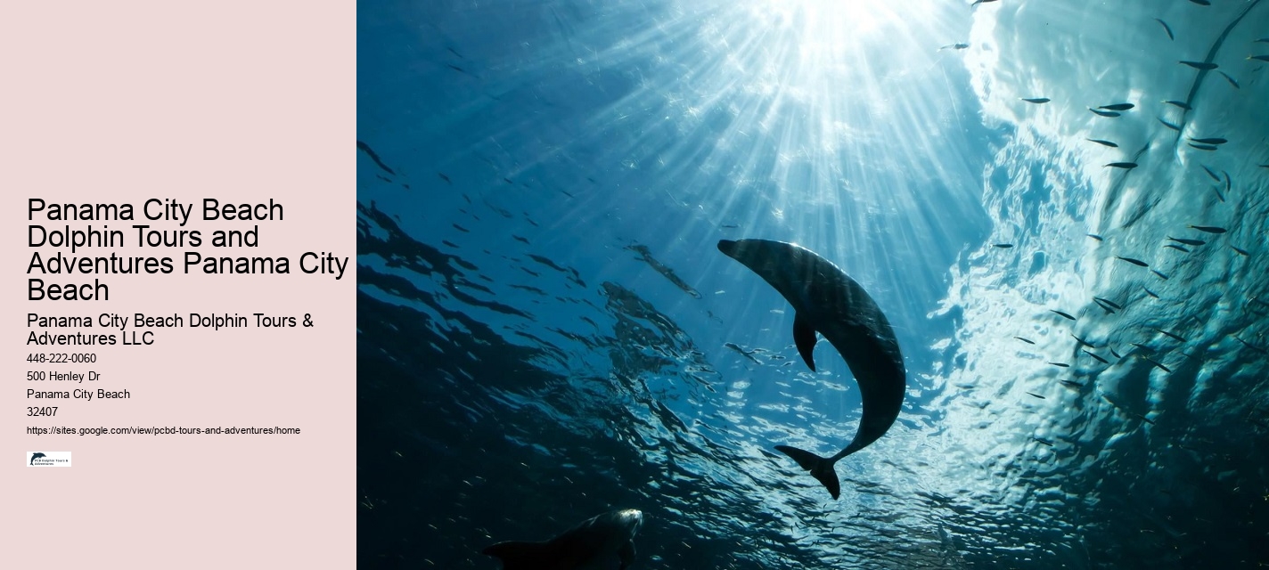 Dolphin Tours Near Panama City Beach
