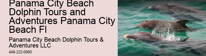 Can I bring my dog on a dolphin tour in Panama City Beach