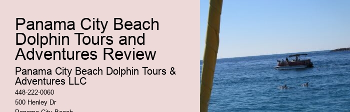 Dolphin Tours Panama City Beach Florida