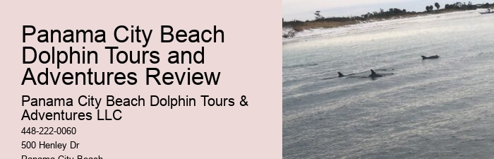 Dolphin's Dark Side Uncovered: The Shocking Truth