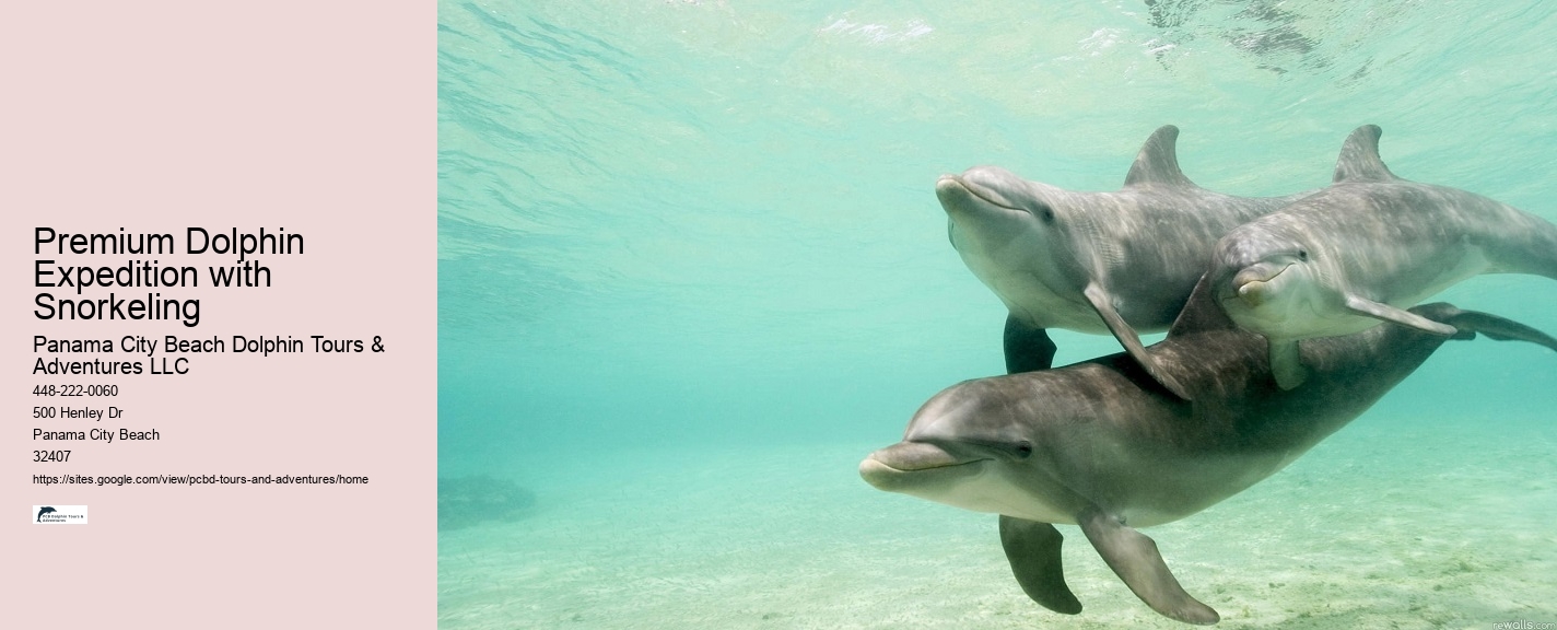 Do Dolphins Like To Be Touched