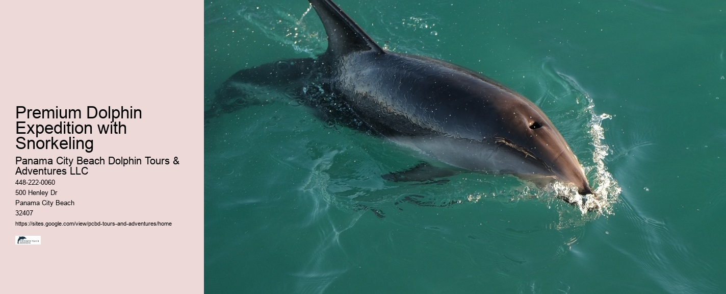Dolphins Do Not Swim With People
