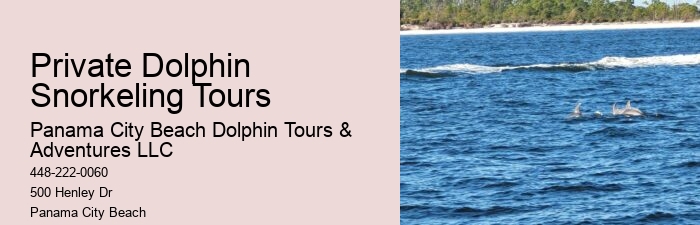 Panama City Beach dolphin exploration voyages