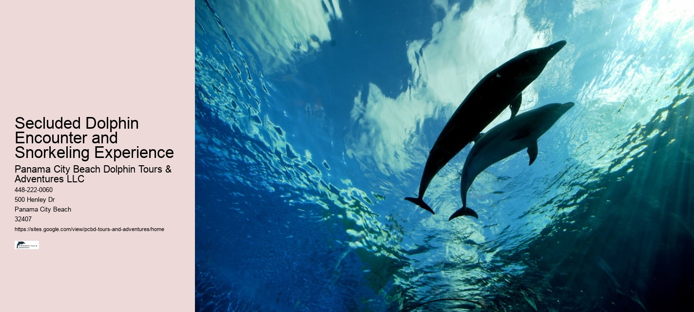 Panama City Dolphin Tours And More