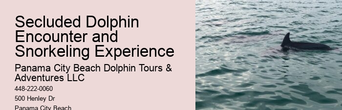 Are You Not Supposed To Touch Dolphins