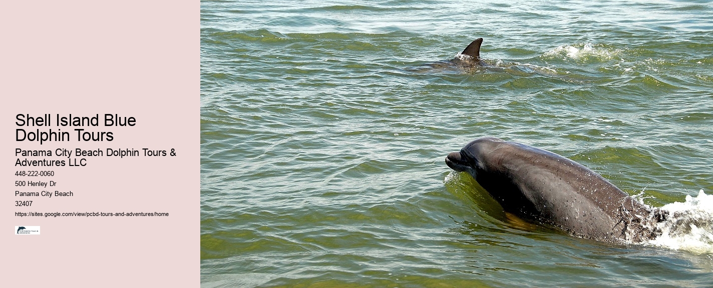 Do You Get Wet On A Dolphin Cruise