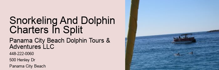 Luxury Dolphin Encounter with Snorkeling