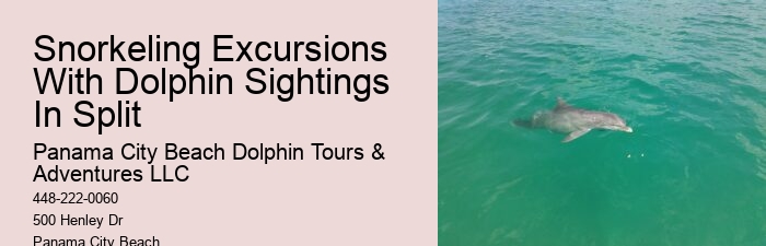 Tailored Dolphin Safari with Snorkeling