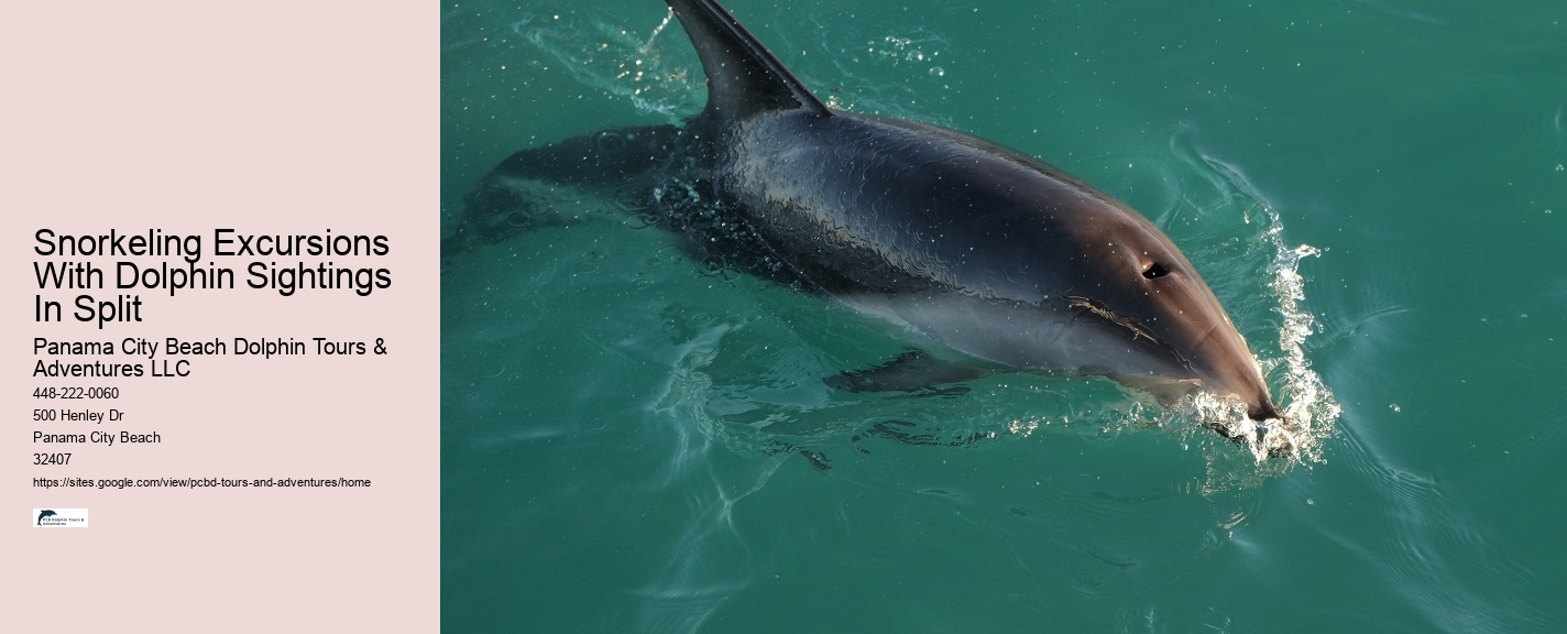 Dolphin And Snorkeling Tours In Panama City Beach
