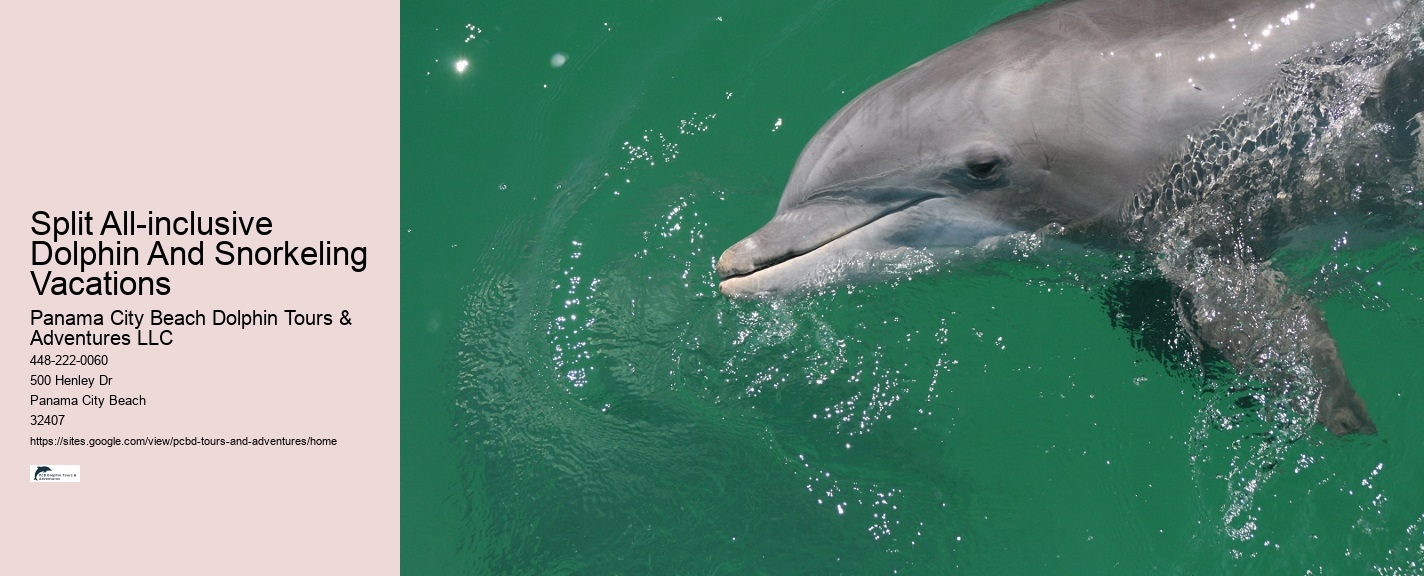 Port Aransas Dolphin Tours
