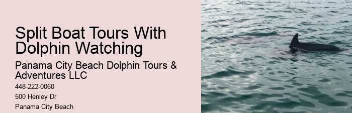 Why Shouldn't You Touch Dolphins