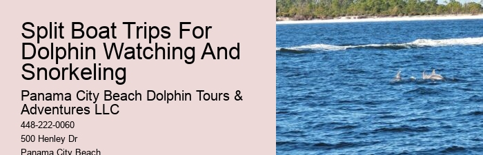 Split Luxury Dolphin And Snorkeling Yacht Charters