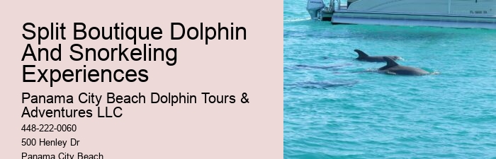 Dolphins Snorkeling Charter Split