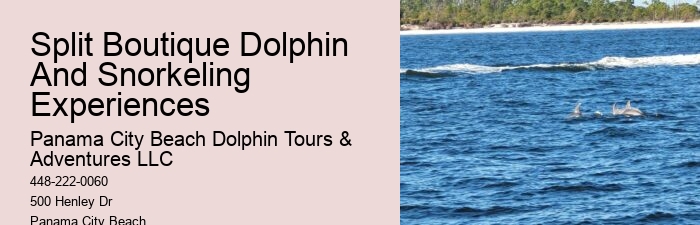 Dolphin Tours Rosemary Beach