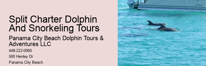 Panama City Beach marine life tours