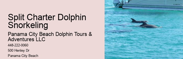 Split Memorable Dolphin And Snorkeling Adventures