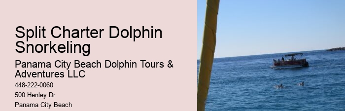 Private Dolphin Tours Orange Beach