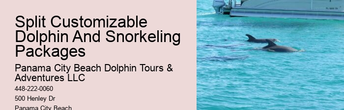 Dolphin Tours In Panama City Florida