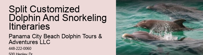 Can I touch the dolphins during the tour