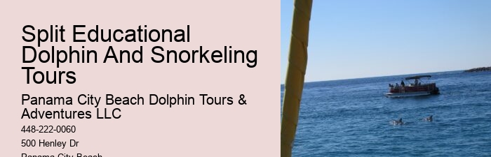 Private 2 Hour Dolphin Snorkeling And Island Excursion
