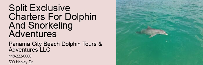 Panama City Beach dolphin watching voyages