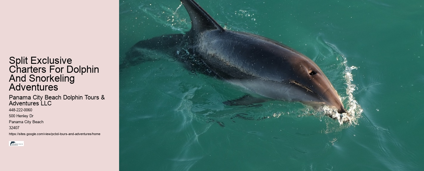 Shell Island Blue Dolphin Tours