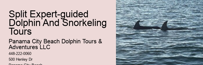 2 Hour Private Dolphin Tour