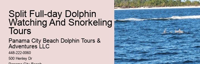 Best Dolphin Tours In Panama City Beach