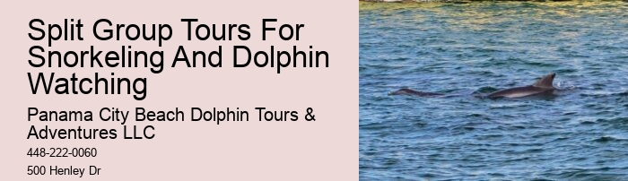 The Ugly Truth About Dolphin Shows