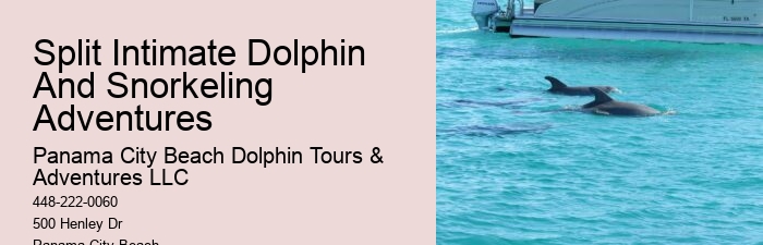 Split Ultimate Dolphin And Snorkeling Expeditions